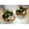 Easter Decorated Plants In Basket !!!