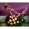 Flower arrangement on tray with Easter Decorative Hand Made Bird!!!