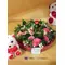 Valentine round  arrangement
