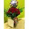 (50) κόκκινα τριαντάφυλλα Ολλανδικά μπουκέτο με πρασινάδες + βάζο + Μπαλόνι Happy Birthday.