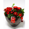 Christmas Plants & Decoration in Pot