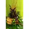 Exclusive Arrangement in glass  tray. Orange !!!