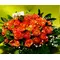 (50) orange - salmon  roses A' quality Dutch with greens in basket.