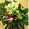 Tulips "Super Parrot" Frilled Edges + Season flowers