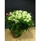 Tulips (20) stems "Super Parrot" Frilled Edges + Vase