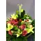 Christmas Arrangement & Decoration.