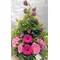 Arrangement with "Rainbow" roses
