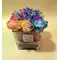 Rainbow roses (16) stems in glass vase with decorative sand layers