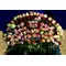 Roses (100)  !!!  Very Exclusive !!! Basket
