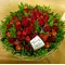 Roses & malus