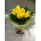 Tulips in vase with colored gel.