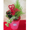 Valentine Love plants arrangement