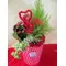 Valentine Love plants arrangement