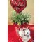 Valentine Love plants