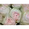 Exclusive "Wedding favorites"  Roses Arrangement