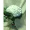 Wedding bouquet. "Hydrangeas"