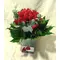 Tulips "On the go" (20) stems in glass + decoration. Smash Offer !!!