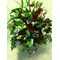 Exclusive "Red Roses" Bouquet (50) roses & Oriental Lillies.