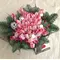 Christmas Tulips. Exclusive!!!