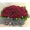 Red Roses Love X 60 !!! (60) Heads !!! (1) Exclusive Basket !!!