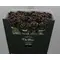 Exclusive "Chocolate Waxed"  Roses (10)p. In Vase Arrangement!!! NEW!!!