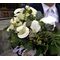 Wedding bouquet. "White Callas".