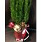 Conifer tree in glass cylinder with decoration and gel. Vase diam 15cm height 20cm.