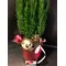 Conifer tree in glass cylinder with decoration and gel. Vase diam 15cm height 20cm.