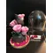 Roses Preserved in "Glass Fanus" Diam 17 cm Height 24 cm . Romantic Pink (4) heads.