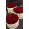 Roses in decorative  "Set of 3" HatBoxes.