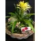 Easter Decorated Plants In Big Quality Basket !!! (components may vary)