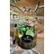 Terrarium plant in glass.Cylinder glass vase 20cm Height 11cm Diam.with Decoration !!! ONE PIECE WITH (1) PLANT
