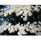 Chrysanthemums (20 stems random colors).