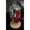 Roses Forever in glass fanus. Height appr. 35-40cm
