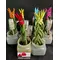 Φυτό Sansevieria Cylindrica Velvet Touch με Βελούδινα χρωματισμένα άκρα. Σε ποτ !!! . Ύψος περ. 30cm. "πλεξούδα" (1) φυτό τυχαία χρώματα.