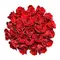 (21) Red Roses Freedom Ecuador 40cm !!! Very exclusive.