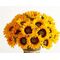 Sunflowers (21) stems (medium size heads diam. 8cm each) with greens bouquet.