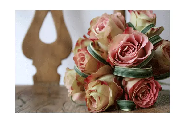 upper secret roses