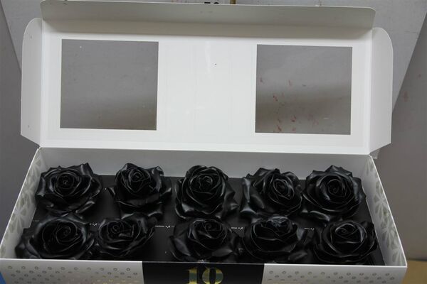 (10) Exclusive Black Waxed  Roses In Vase Arrangement!!! NEW!!!