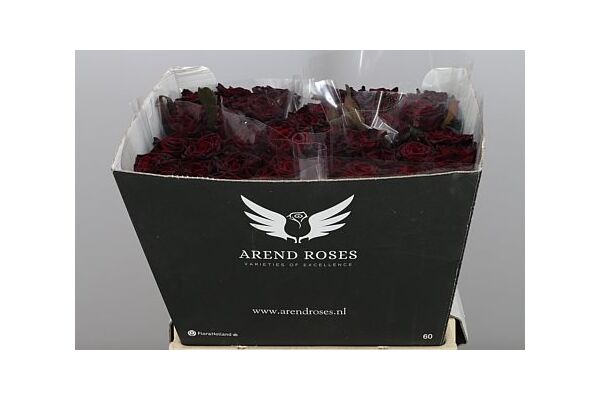 Μαύρα Τριαντάφυλλα Φυσικά