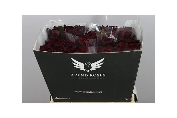 Roses Natural Black Baccara