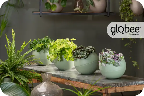 Το Globee είναι εύκολο να τακτοποιήσετε και να το συνδέσετε με διάφορους τρόπους.
Για να μπορέσετε να πρασινίσετε τον κόσμο σας με έναν απλό, κομψό τρόπο και εξοικονομώντας χώρο.
