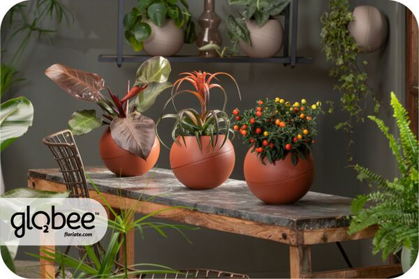 Το Globee είναι εύκολο να τακτοποιήσετε και να το συνδέσετε με διάφορους τρόπους.
Για να μπορέσετε να πρασινίσετε τον κόσμο σας με έναν απλό, κομψό τρόπο και εξοικονομώντας χώρο.