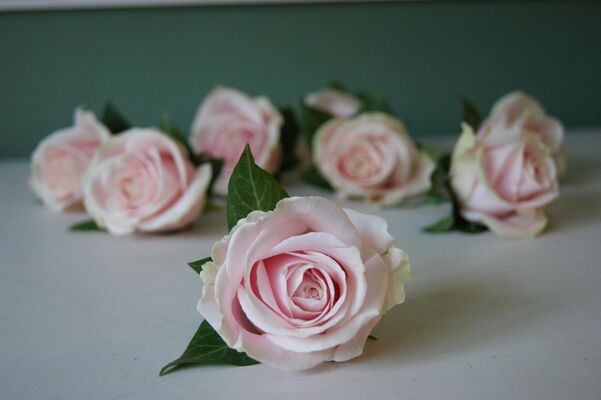 Τριαντάφυλλα Ροζ ή Λευκά (40τεμ.) Ανθοδέσμη ή Μπουκέτο