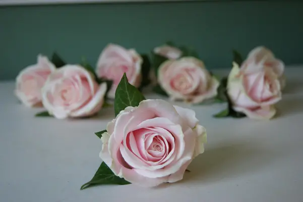 Pink or White Roses (40) stems.Super Week Offer