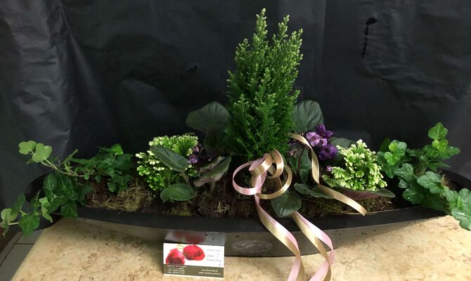 Plant arrangement in metal-zinc pot (round, rectangular or gondola)