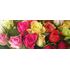 (31) Mixed colors roses bouquet with greens. Smash week offer
