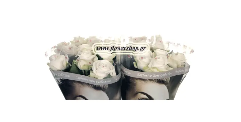 white roses bouquet
