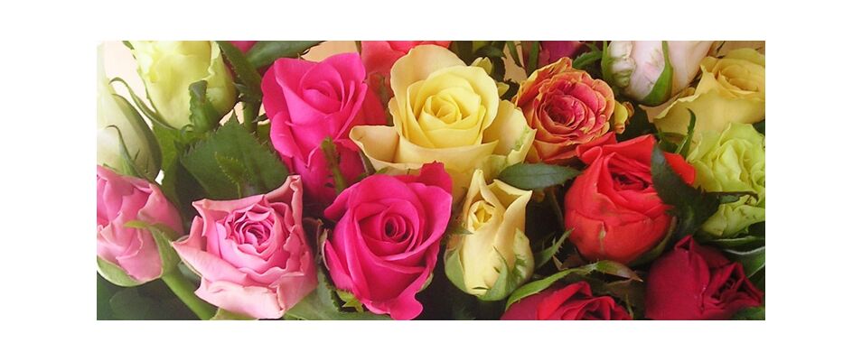 (31) Mixed colors roses bouquet with greens. Smash week offer